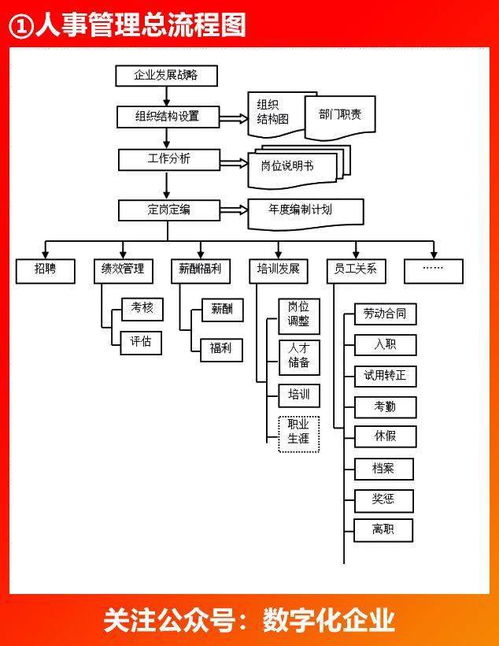 企業金融知識流程外包 跨部門高效協同流程圖解析